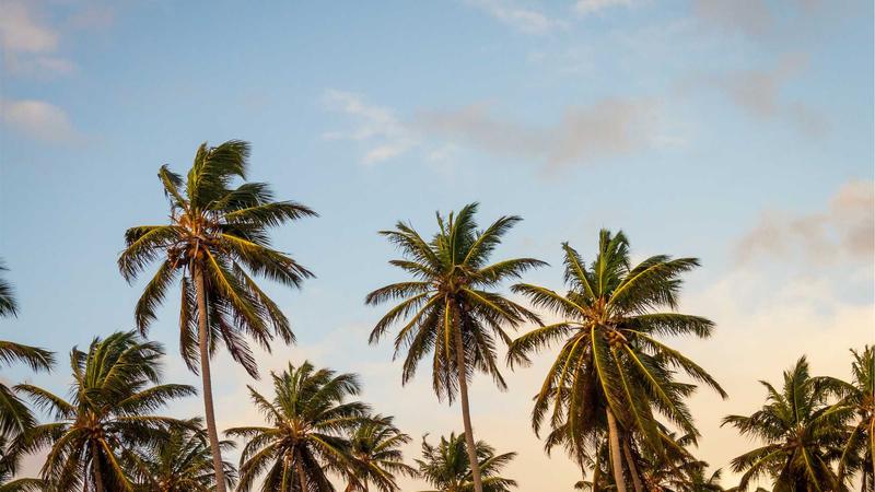 电影天堂网免费在线观看智能推荐引擎